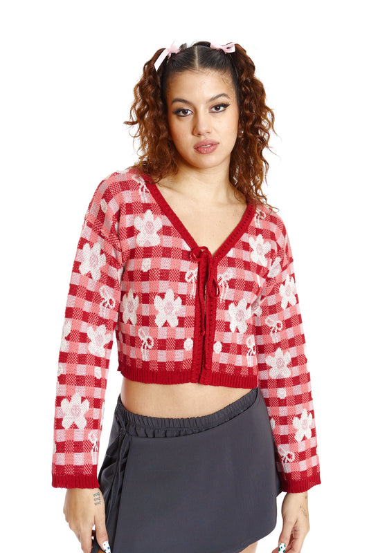 CHALECO ROJO CINTA
